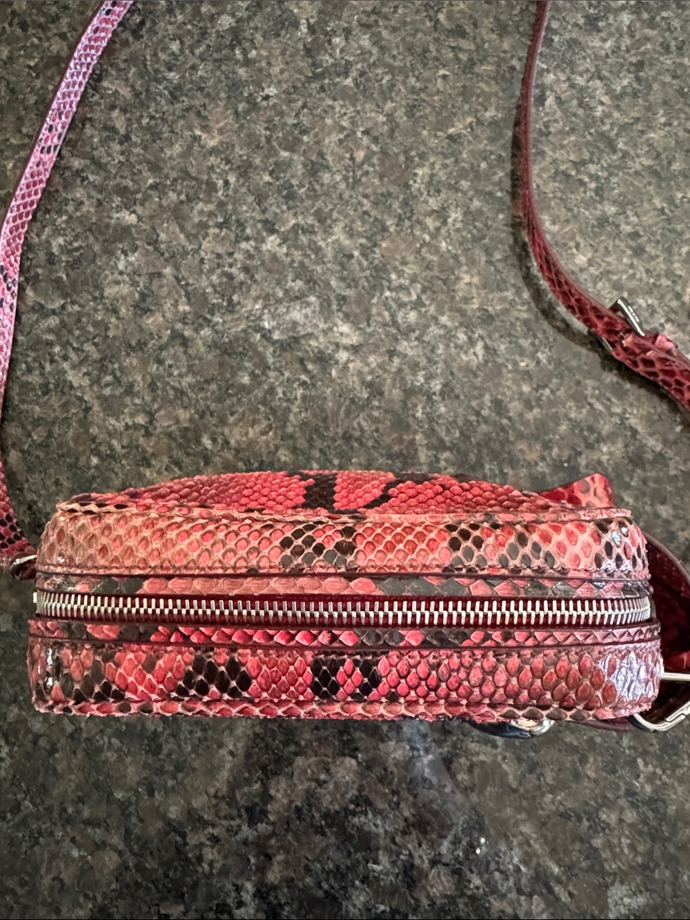 Prada Python Crossbody Bag - Picture 11 of 16